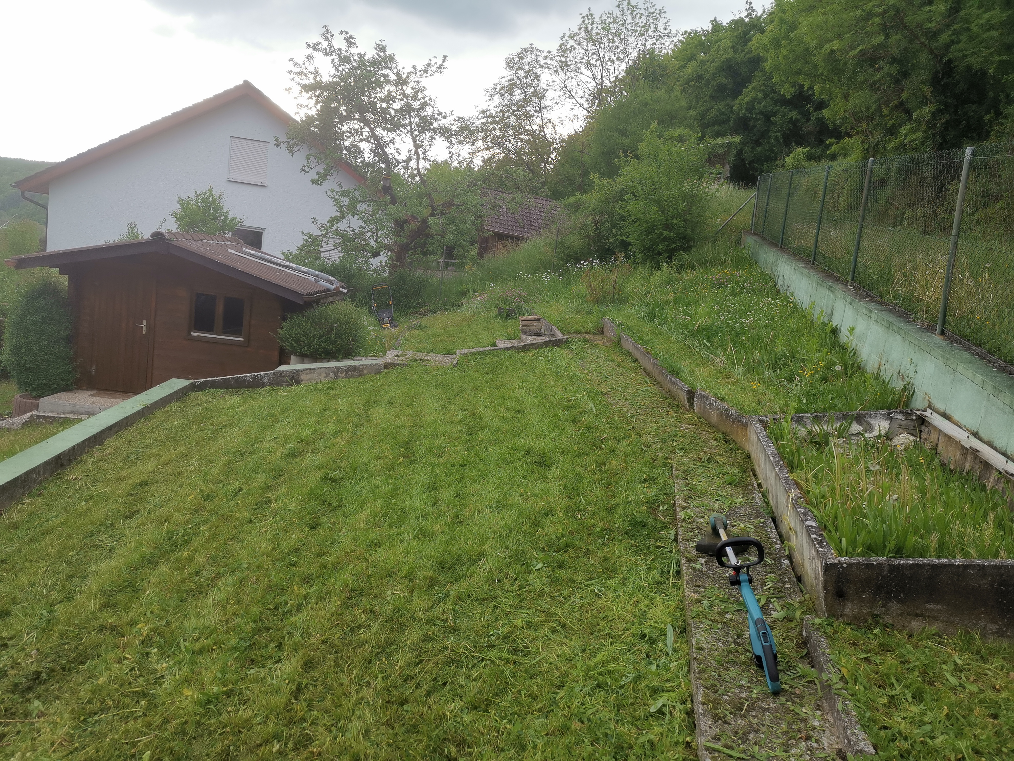 Garten gemäht nachher