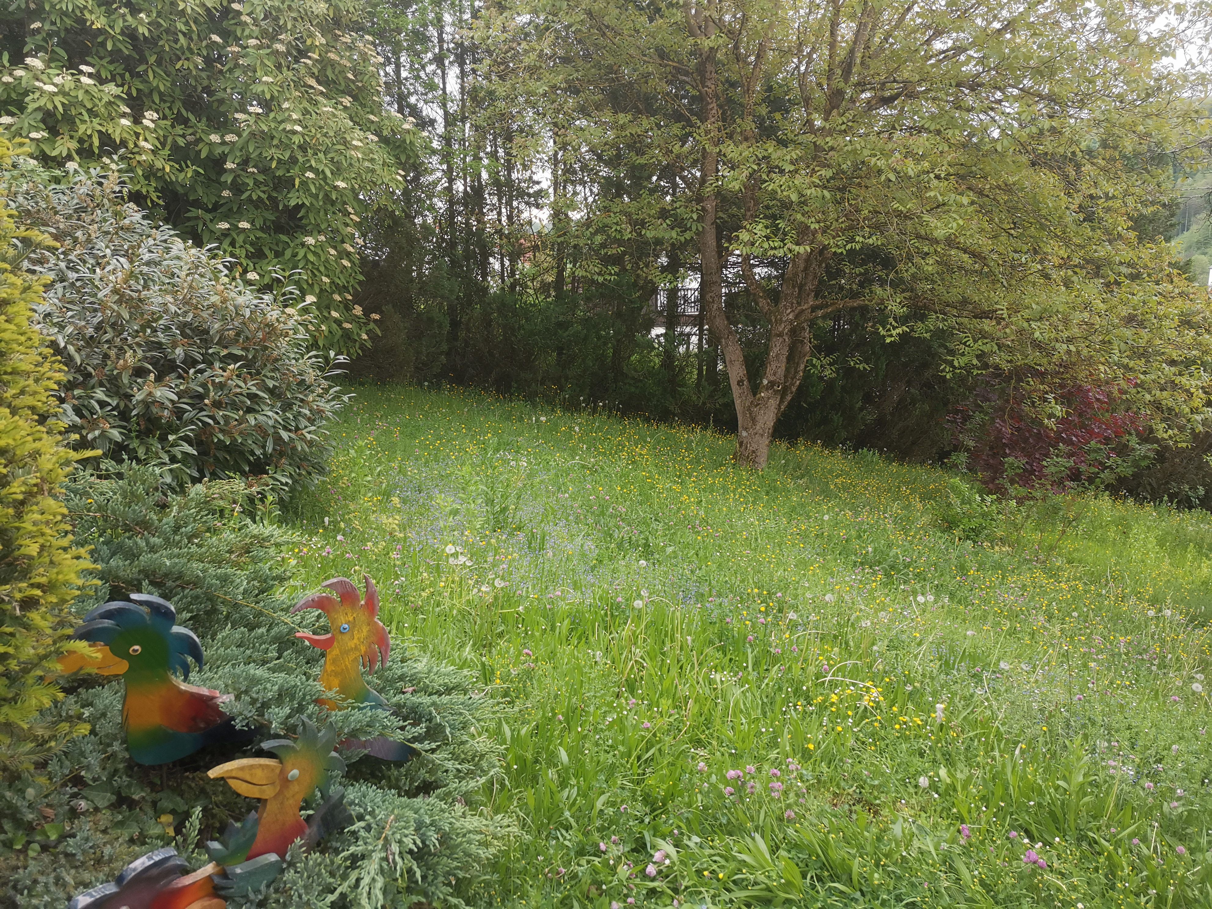 Garten verwildert vorher