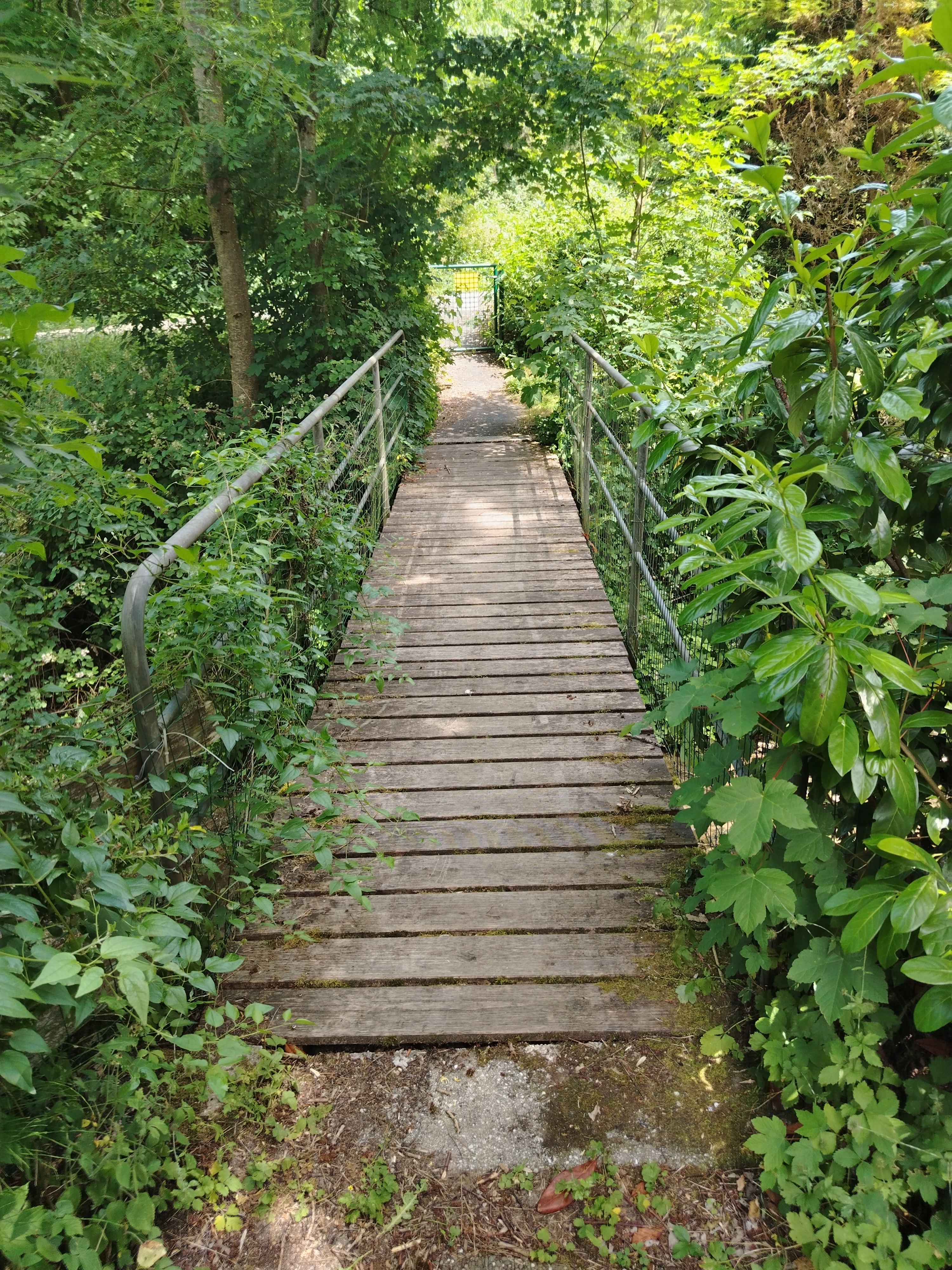 Brücke vorher