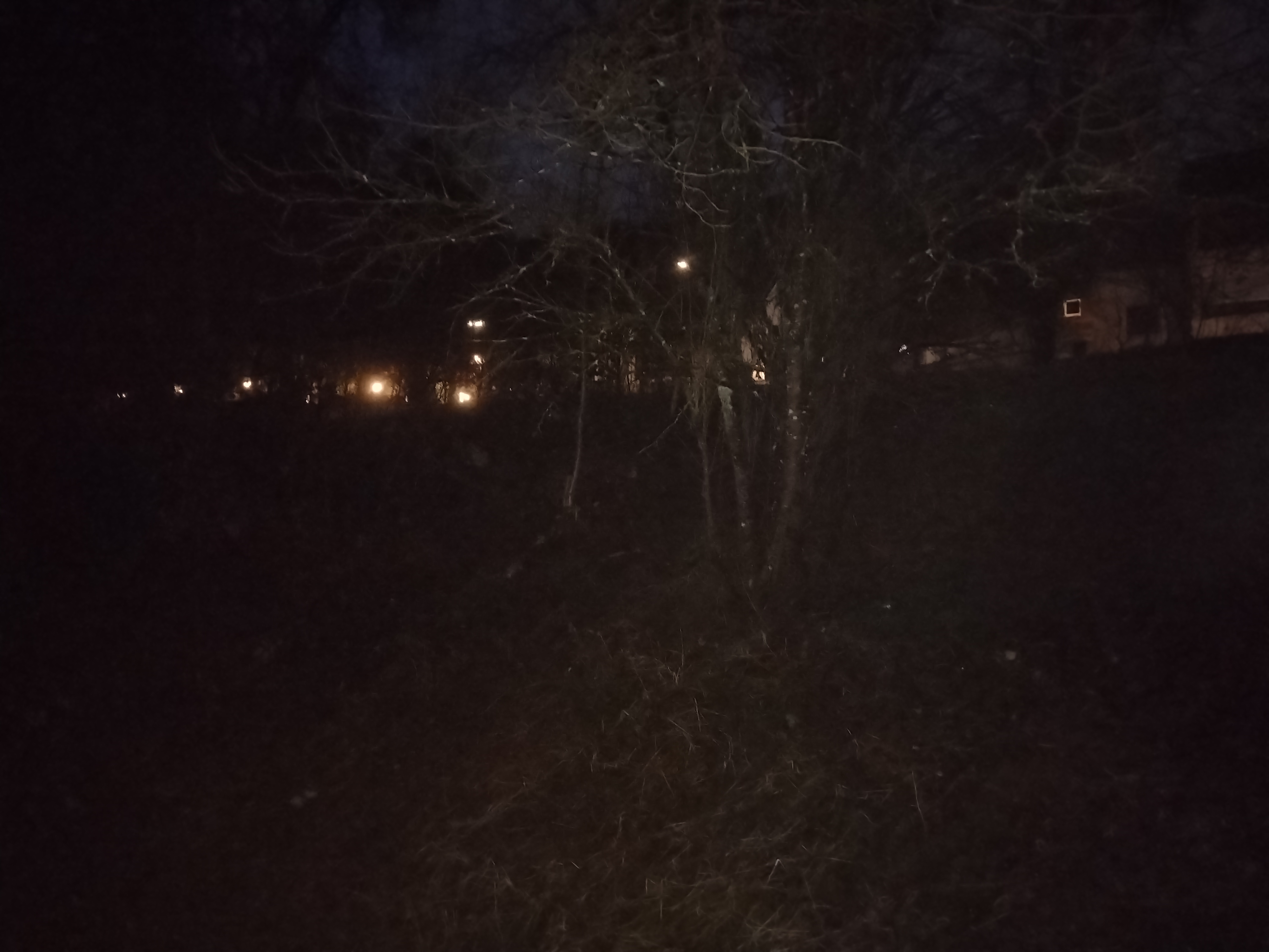 Büsche am Hang kürzen