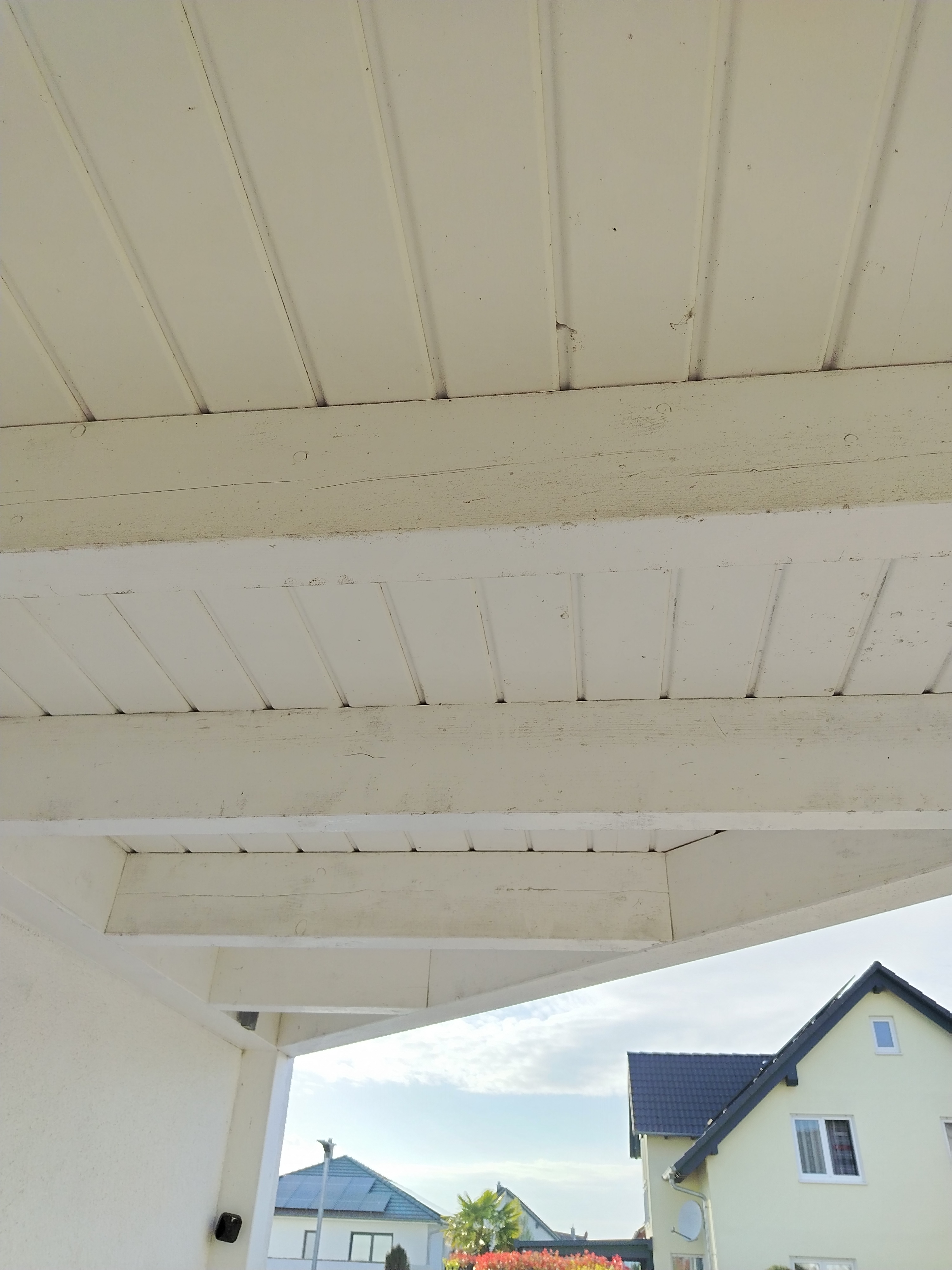 Carport reinigen