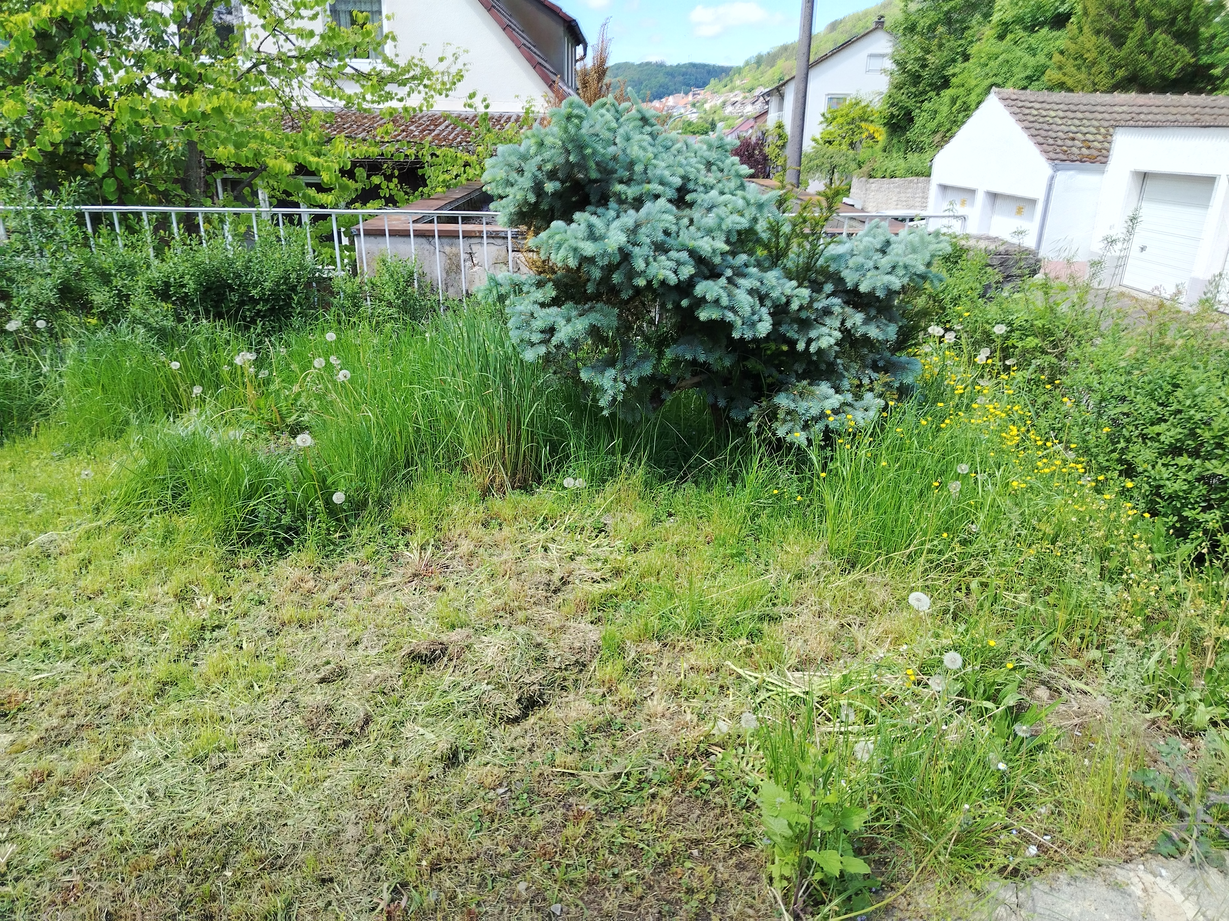 Garten vorher