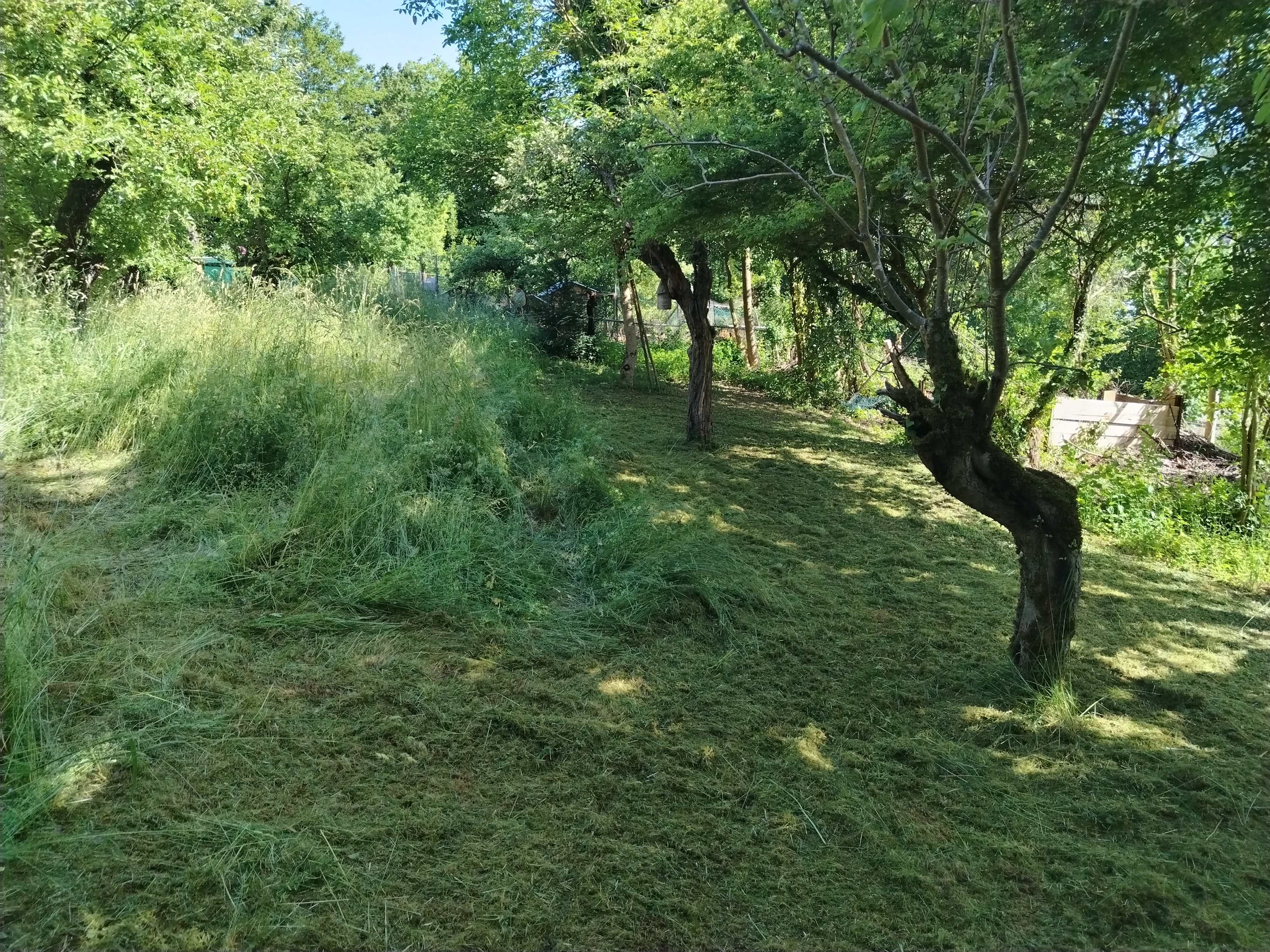 Gartenpflege