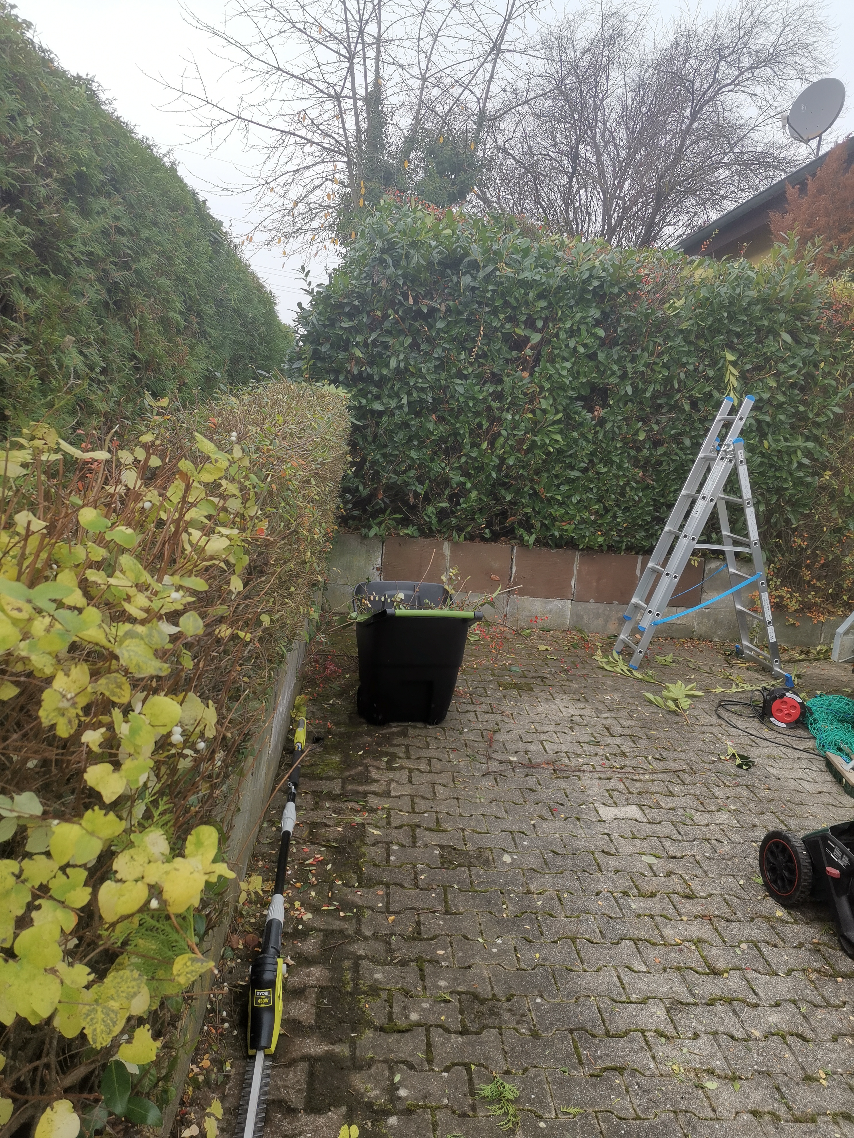 Hecke begradigen