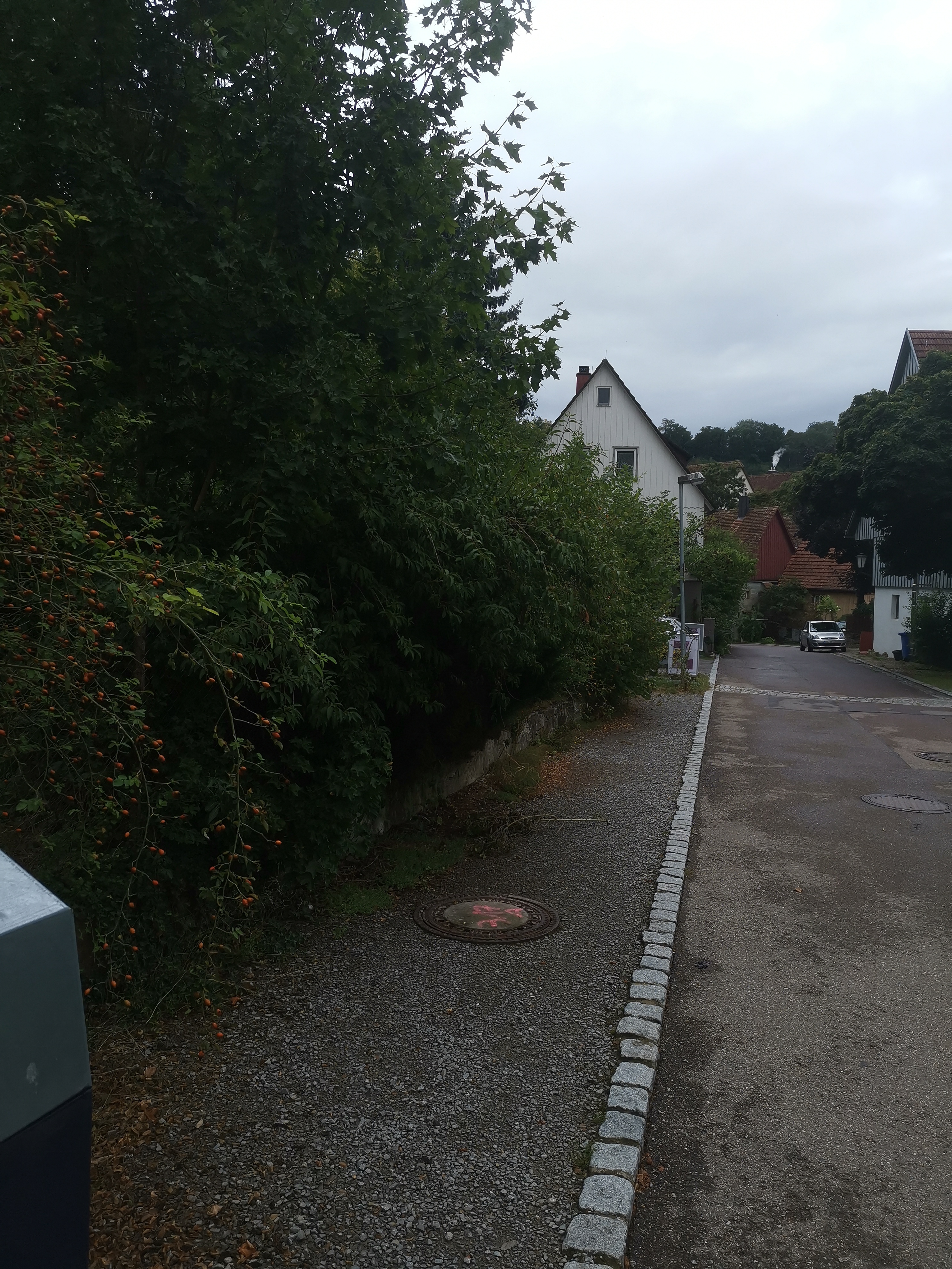 Rosengarten pflegen
