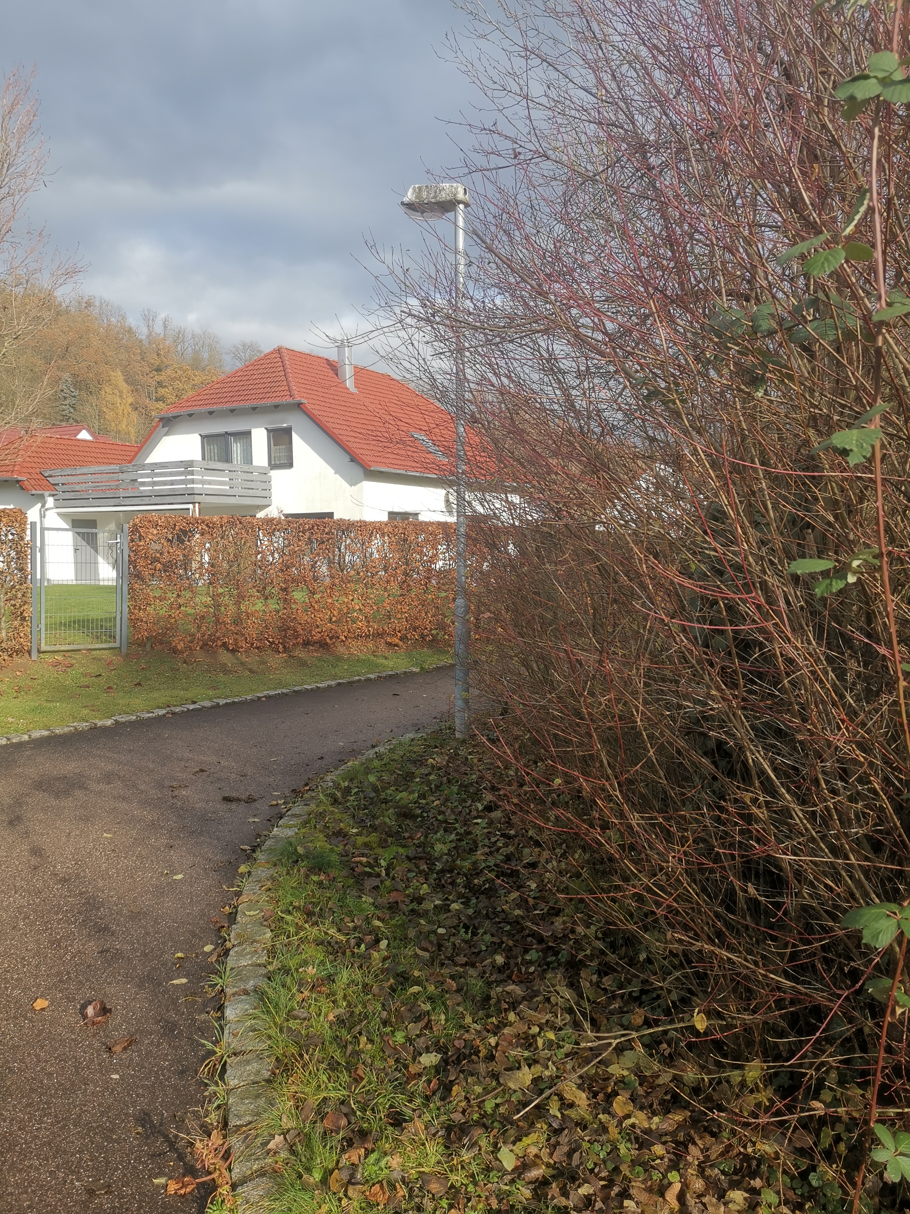 Rosengarten fertig